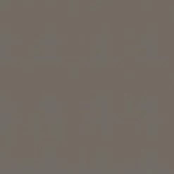 Superfresco Easy Vliesbehang Lynn Bruin 105954