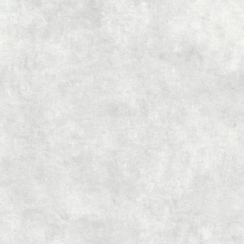 Superfresco Easy Vliesbehang Beton Cire Lichtgrijs 106988 1 Superfresco Easy Vliesbehang Beton Cire Lichtgrijs 106988