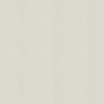 Superfresco Easy Vliesbehang Extra Breed Lenora Lichtgroen (105103) 1 Superfresco Easy Vliesbehang Extra Breed Lenora Lichtgroen (105103)