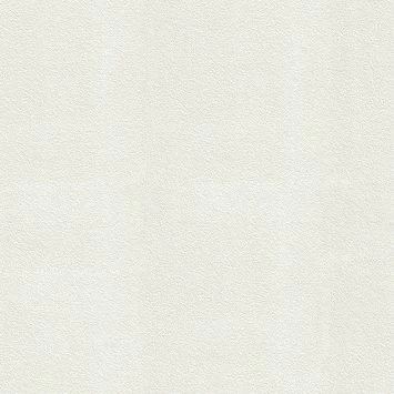 Superfresco Easy Vliesbehang Stuckorrel Wit 103997 1 Superfresco Easy Vliesbehang Stuckorrel Wit 103997