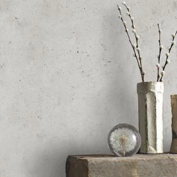 Superfresco Easy Vliesbehang Betonplaten Grijs 105148 3 Superfresco Easy Vliesbehang Betonplaten Grijs 105148 - Afbeelding 3