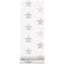 Superfresco Easy Vliesbehang Superster Zilver 100111 9 Superfresco Easy Vliesbehang Superster Zilver 100111 -Behang Verkoop 123 812