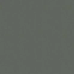 Superfresco Easy Vliesbehang Lynn Donkergroen 105953