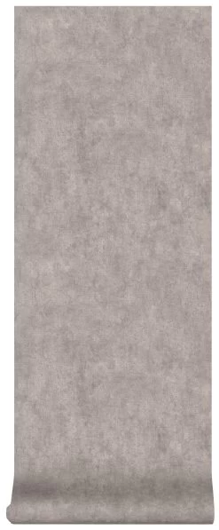 Superfresco Easy Vliesbehang Beton Taupe (dessin 103481) -Behang Verkoop 41 1254