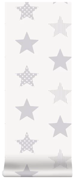 Superfresco Easy Vliesbehang Superster Zilver (dessin 100111) -Behang Verkoop 41 1367