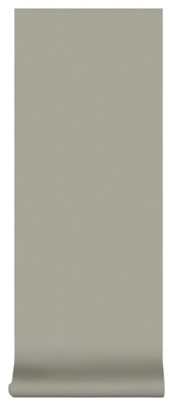 Superfresco Easy Vliesbehang Lynn Lichtgroen (dessin 105952) -Behang Verkoop 41 1460