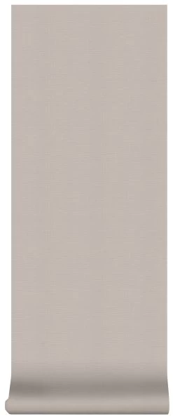 Superfresco Easy Vliesbehang Uni Taupe (dessin 103475) -Behang Verkoop 41 1537
