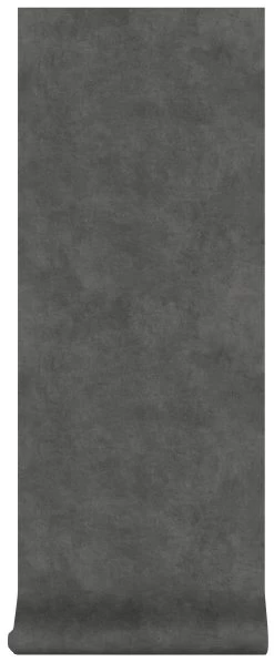 Superfresco Easy Vliesbehang Beton Cire Donkergrijs (dessin 106992) -Behang Verkoop 41 513