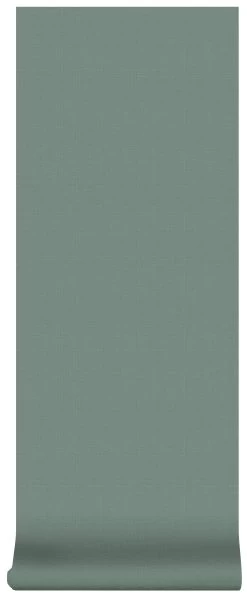 Superfresco Easy Vliesbehang Uni Groen (dessin 100559) -Behang Verkoop 41 609
